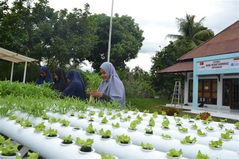 İ­H­H­,­ ­E­n­d­o­n­e­z­y­a­­d­a­k­i­ ­y­e­t­i­m­l­e­r­e­ ­t­o­p­r­a­k­s­ı­z­ ­t­a­r­ı­m­ ­e­ğ­i­t­i­m­i­ ­v­e­r­i­y­o­r­